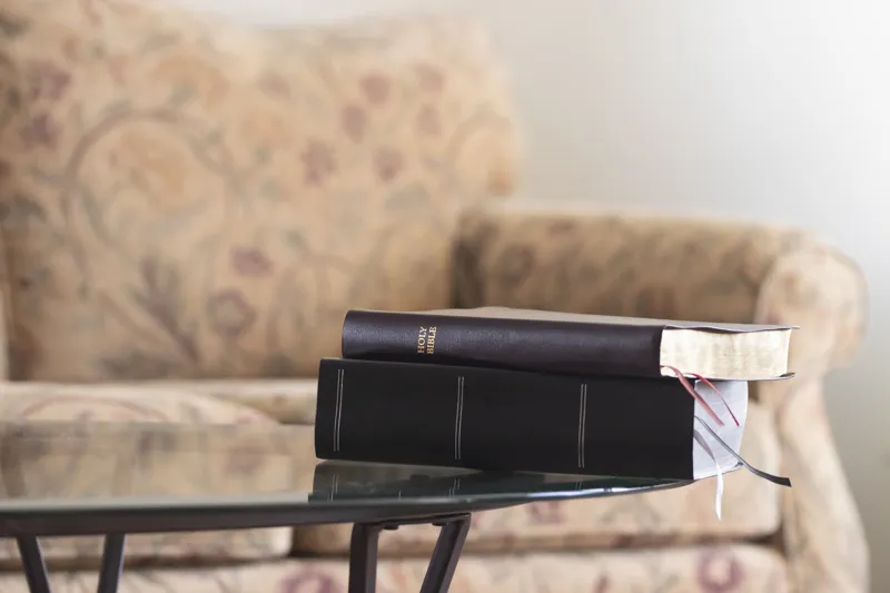 what are the books left out of the bible called