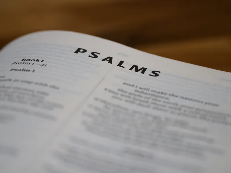 who wrote psalms