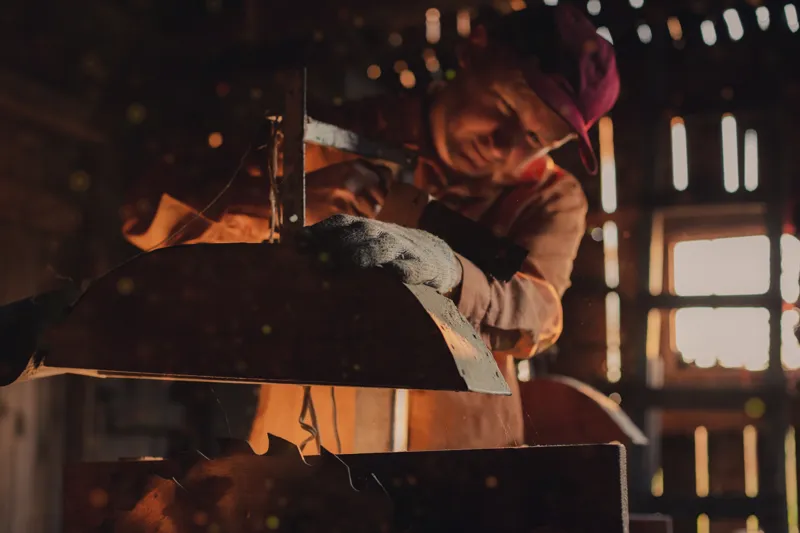 who saw the whole mahabharata