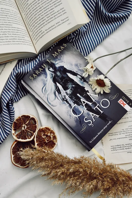 what are the 4 types of novels