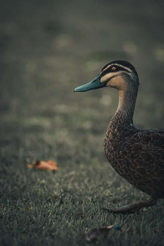 how do i know if my story is good