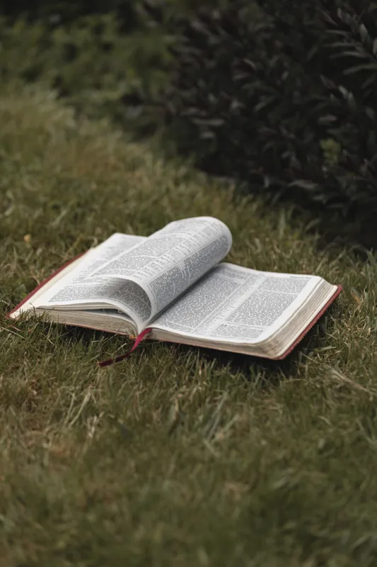 how popular is the bible