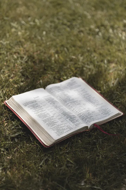 how much does a bible cost