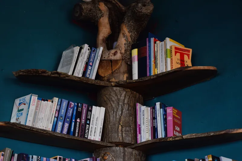 what are popular books