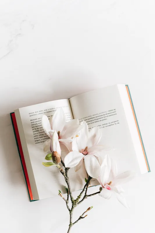 what are some classic novels everyone should read