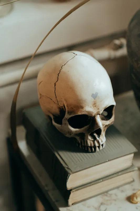 what is the 39 books of old testament