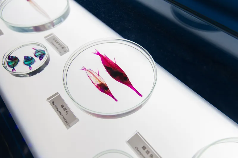 what are the 3 types of nonfiction