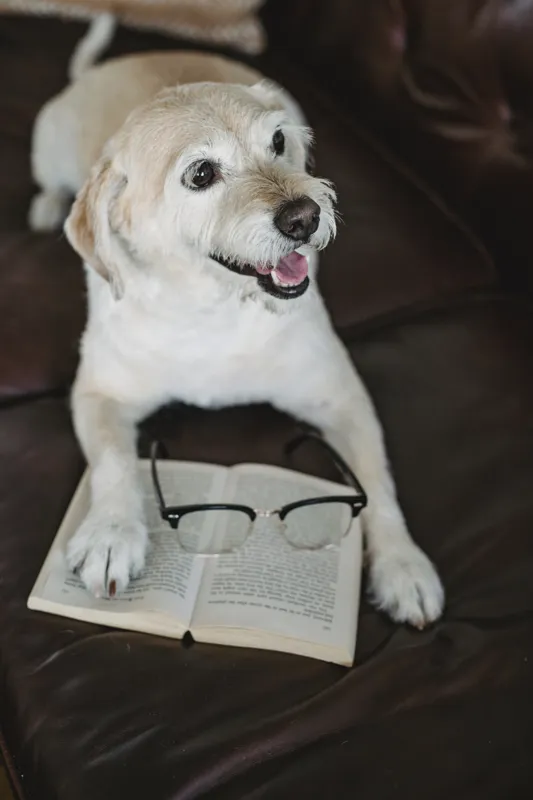 what's a good book to read right now