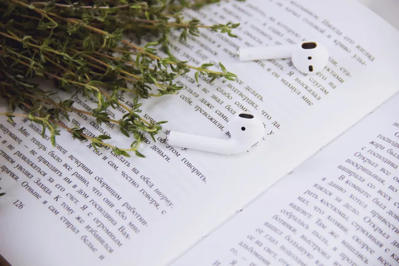 what is a true story book called