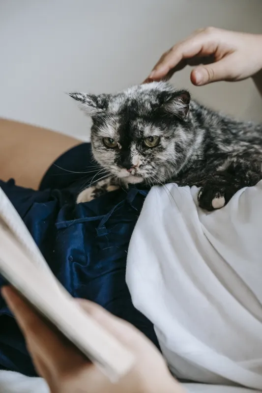 what are the best selling non fiction books right now