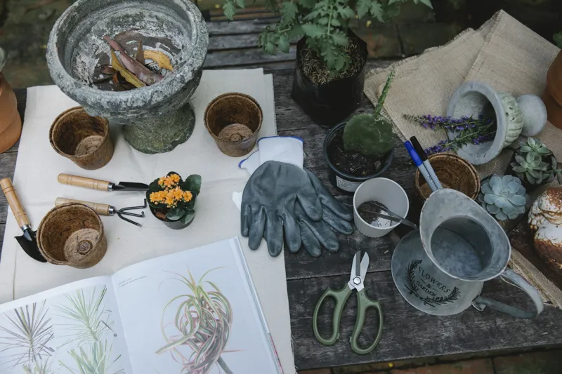 what can we learn from the book of proverbs