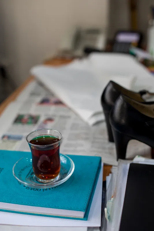 how many pages is the longest book