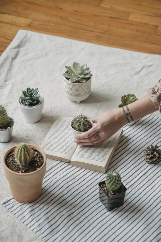 how many paragraphs is a short story