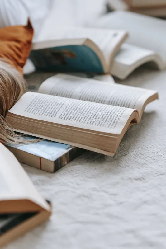 how many pages is a novel