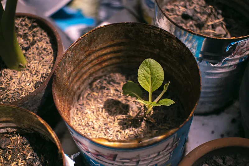 can you change your mindset from fixed to growth