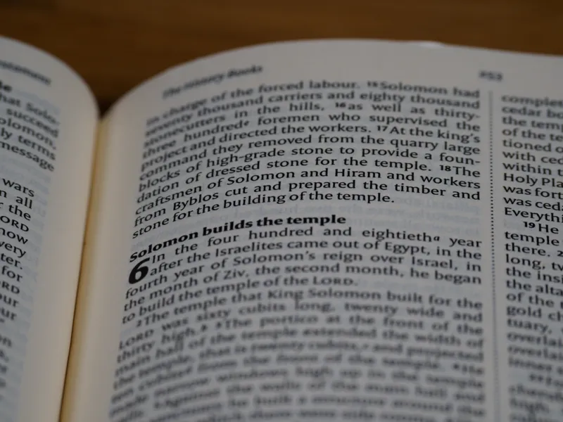 what's the longest verse in the bible