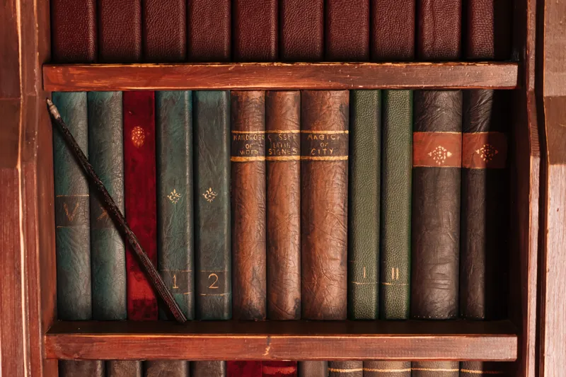 why harry potter book is famous