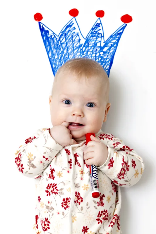 why is the little prince so popular