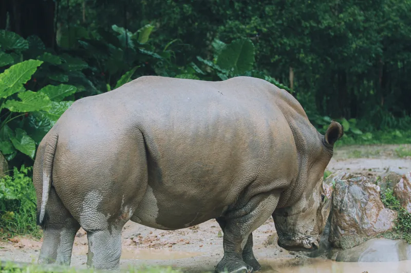 what are the 5 big entrepreneurial challenges