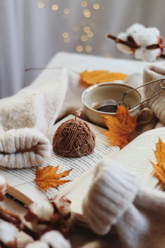 why would i recommend a book