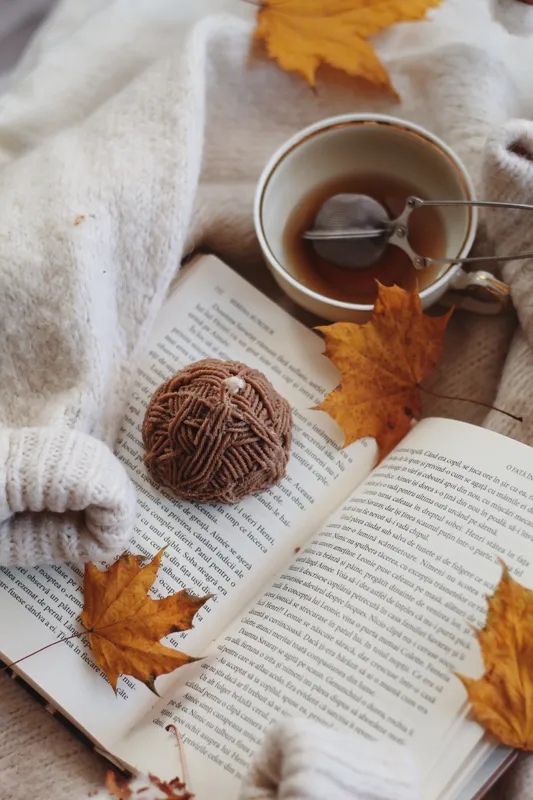 what makes a book a novella