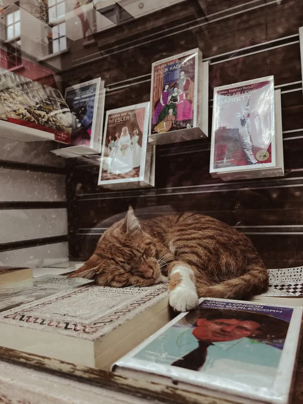 how are books classified