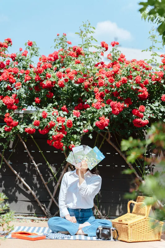 why are books important