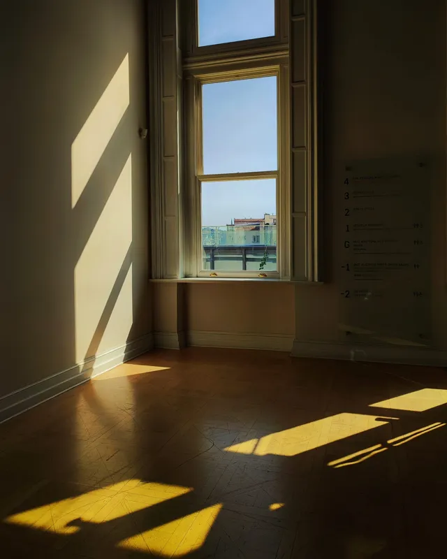 why is the shining so popular