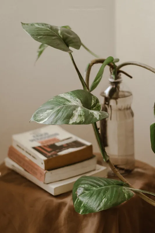 what is the purpose of books