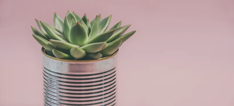 how can i drastically change my life