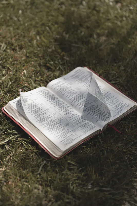 what is the shortest word in the bible