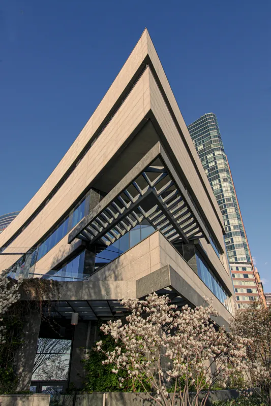 what are the 7 types of mindsets