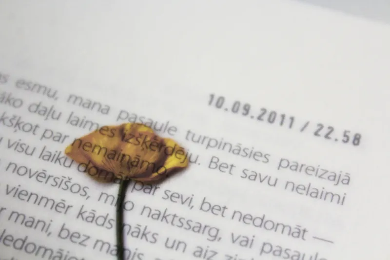 which language has the best poetry