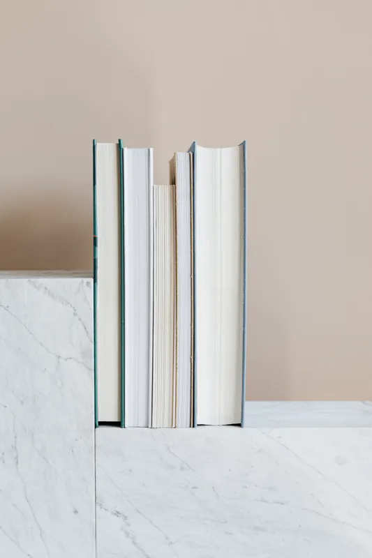 what are the 7 element of literature