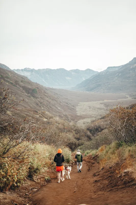 how long should i read a day