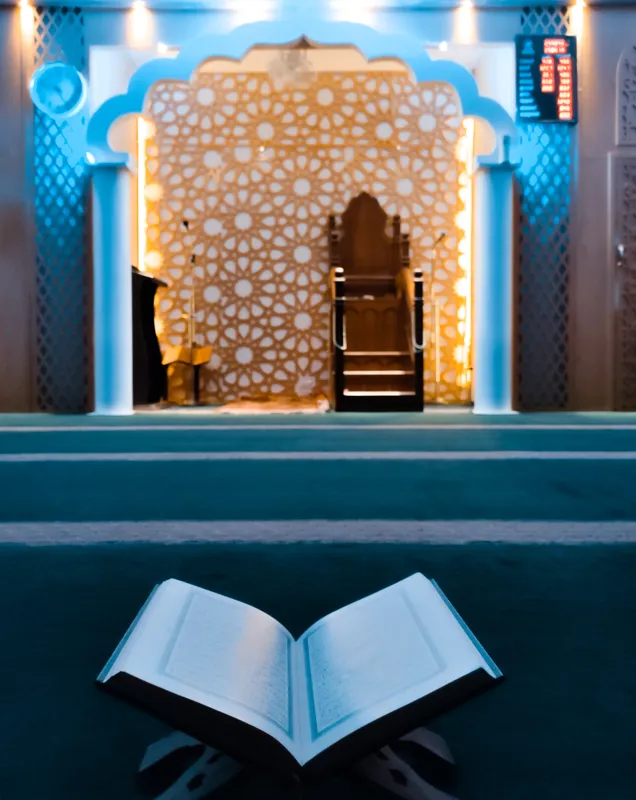 what are the 3 elements of a book review