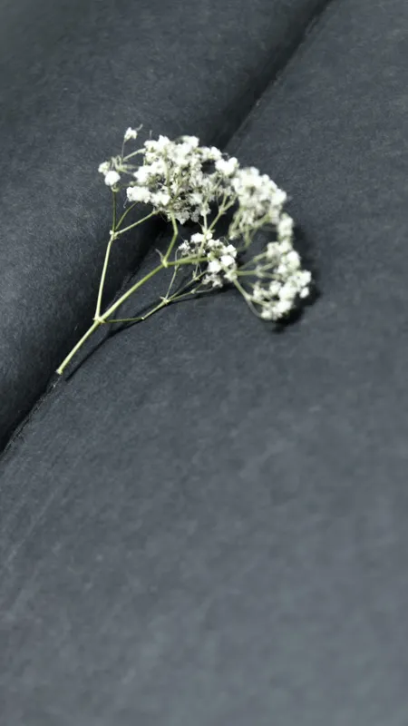 what are the 4 main story elements