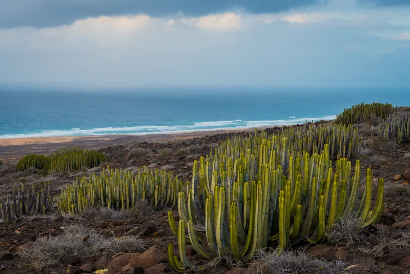 why self-help groups are growing in popularity