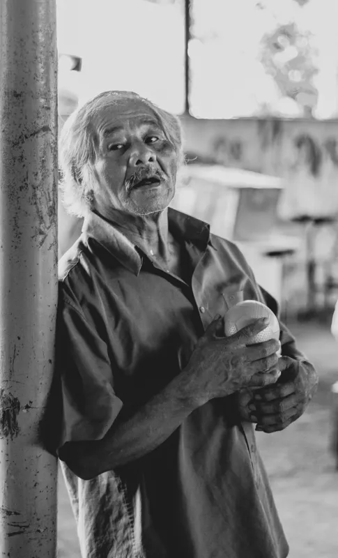 what are the 7 pillars of wisdom