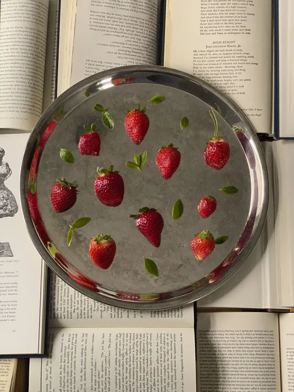 what are the 7 elements of novel