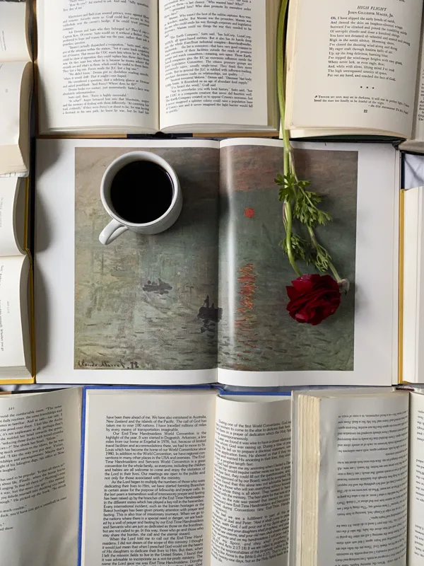 what are the elements of novel