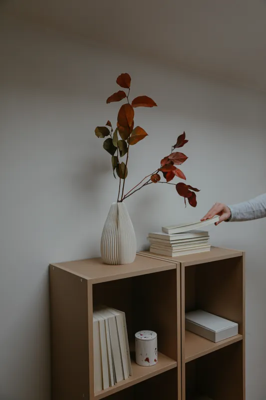 why are books getting less popular nowadays