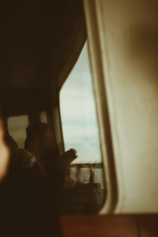 what happens if you read a book a day