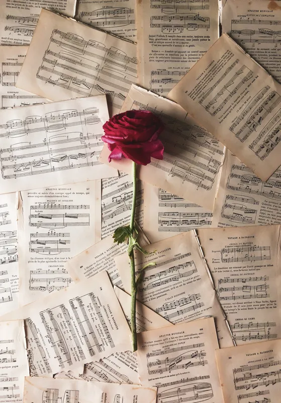 how many pages is the average book