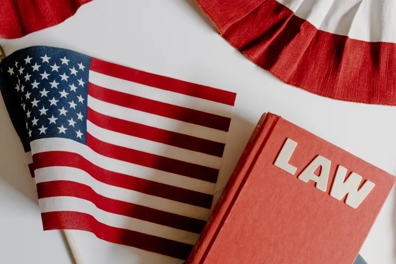 what is america's most banned book