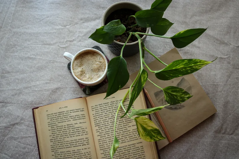 what is the book life after life about